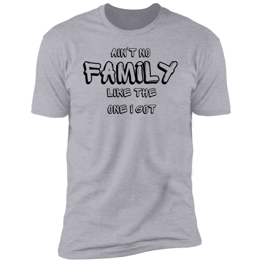 Aint No Family Premium Short Sleeve T-Shirt